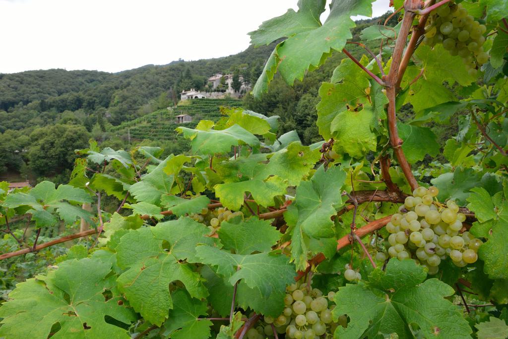Agriturismo Crodi Miane Εξωτερικό φωτογραφία